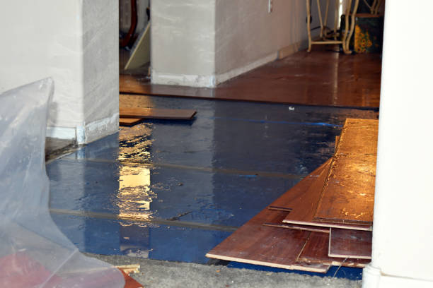 Professional Burst Pipe Cleanup technician working in Woodland Park, CO