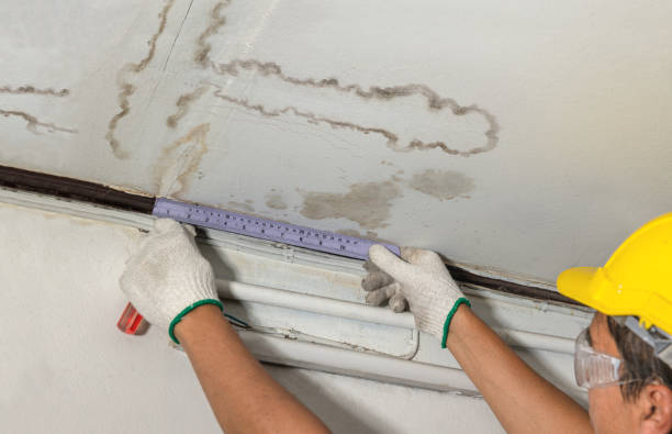 Reliable Burst Pipe Cleanup contractor in Woodland Park, CO by Water Damage Irwin